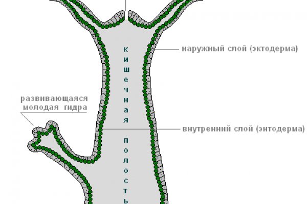 Кракен онлайн магазин