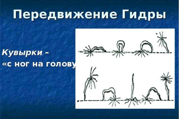 Kraken настоящая ссылка